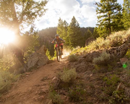 mtb-crested-butte-colorado-summer