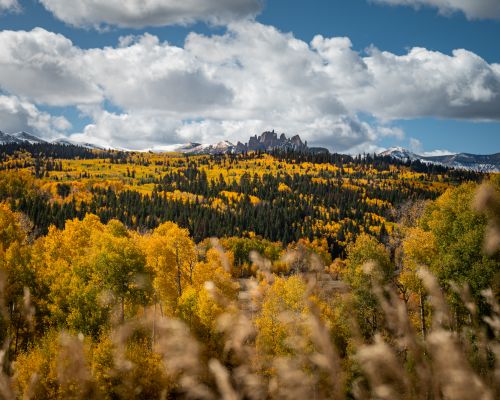 A sweeping view of fall trees with a rock formation that looks like castles in the distance. The castles gunnison colorado fall