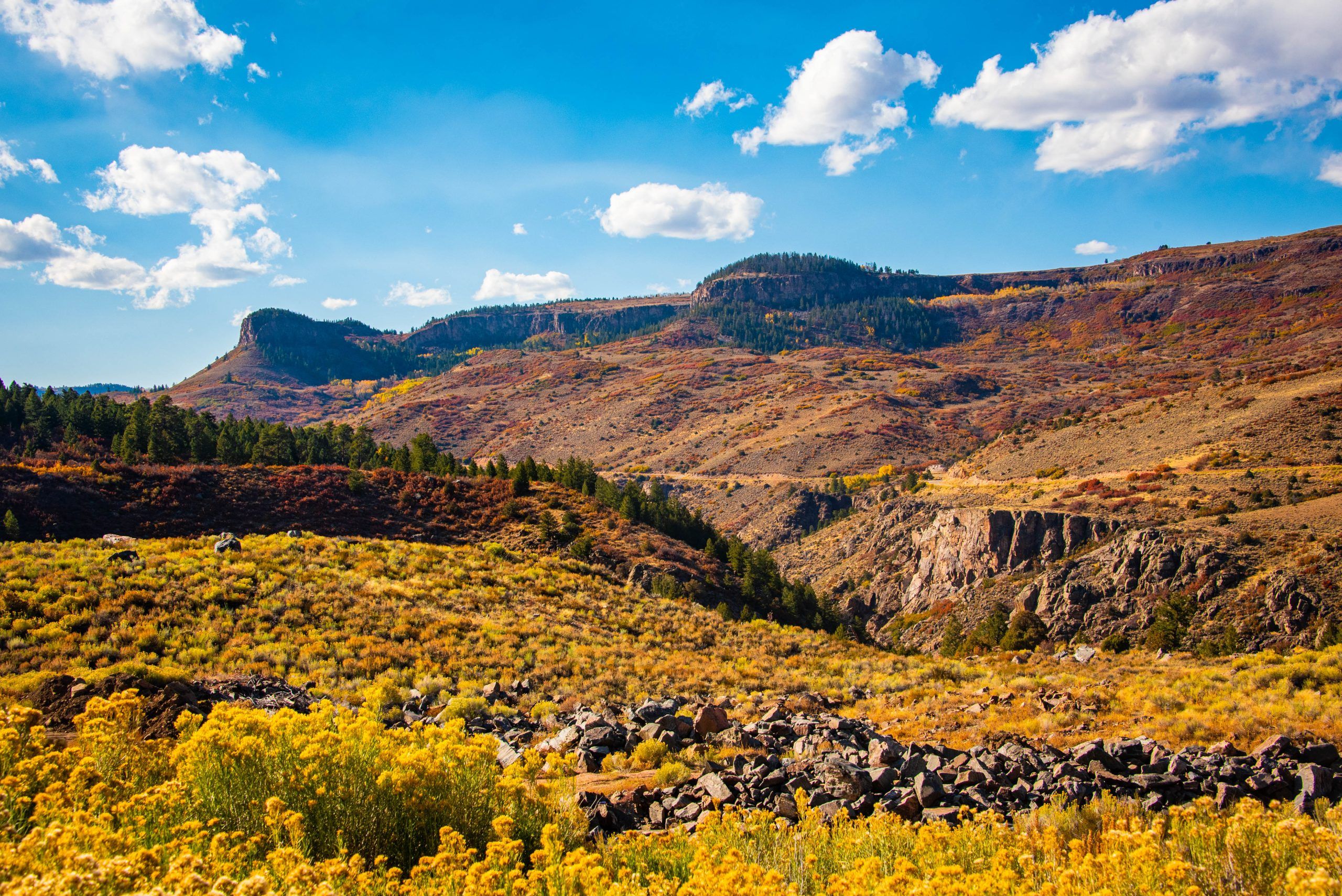 The rim of a canyon in the fall. Black Canyon of the Gunnison is one of Colorado's least visited National Parks.