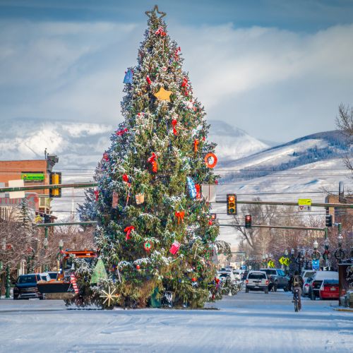 A large Christmas tree positioned in the middle of a downtown street