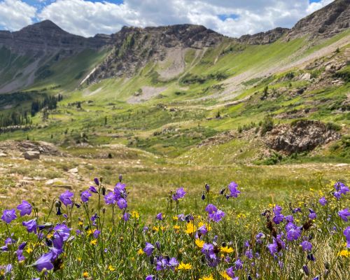 daisy-pass-trail-hiking-crested-butte-colorado-horizontal-4