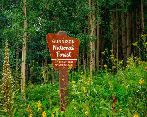 wooden "gunnison national forest sign"