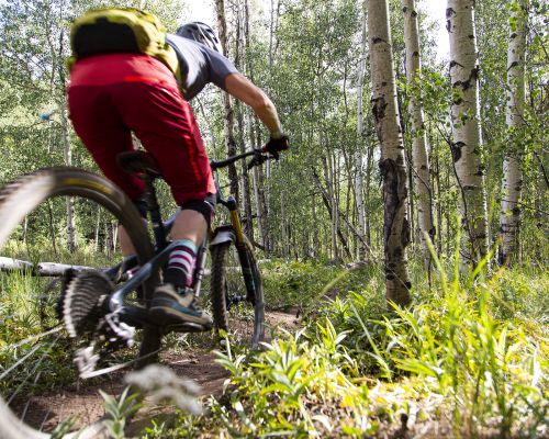 A man rides a mountain bike through the aspens in Crested Butte, Colorado.