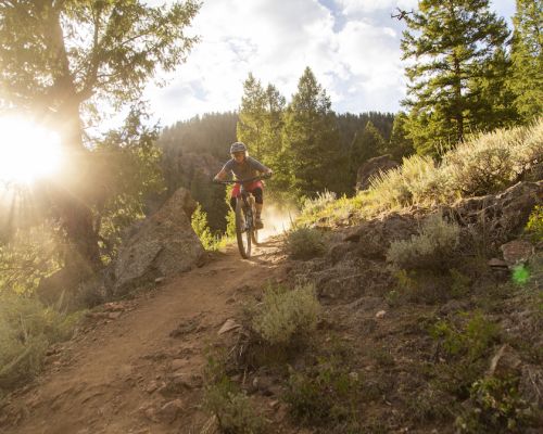 MTB on downhill track