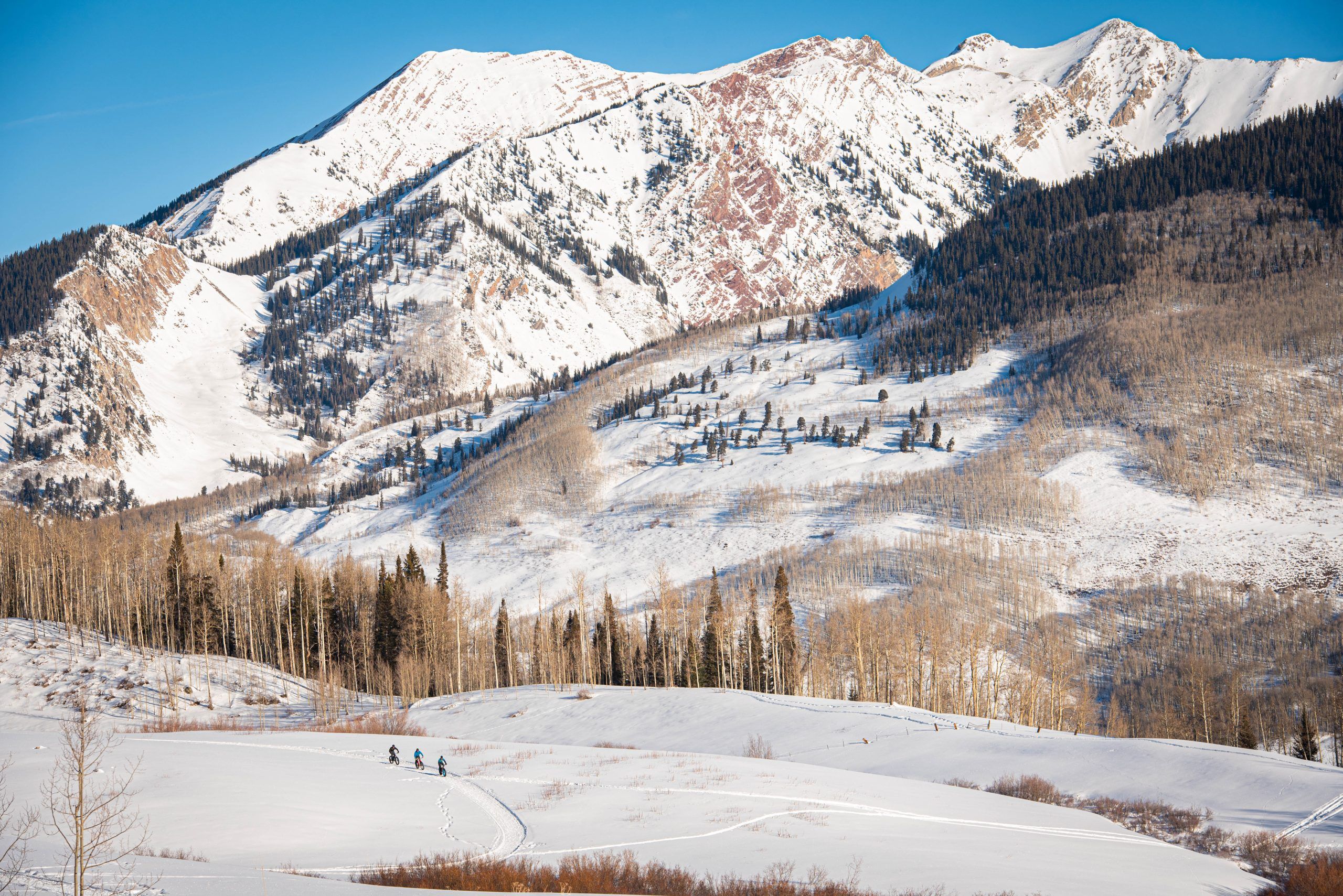 Crested Butte fat biking with Avery peak in the background on a sunny winter day.