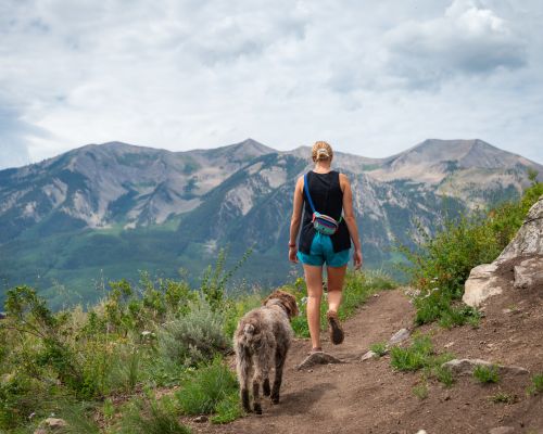 Hiking with dogs in Crested Butte