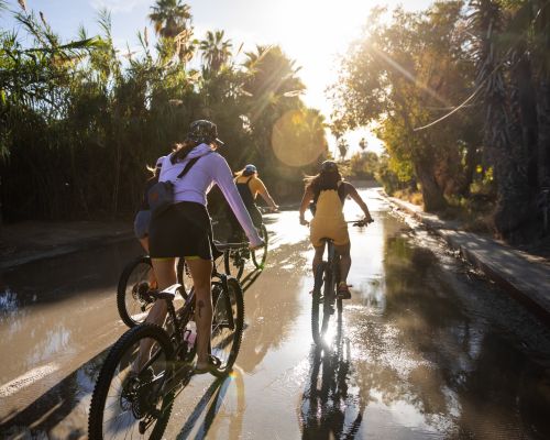 a group of women riding bikes in wild rye mountain bike clothes