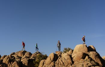 Four people and a dog stand atop rocks with a blue skybackdrop.
