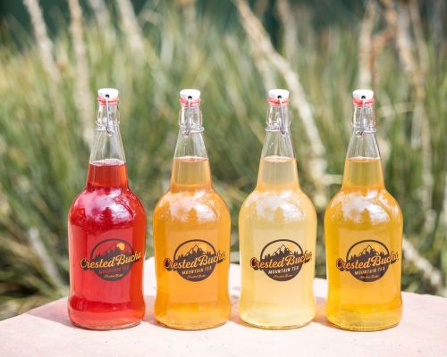 Bottles of Crested Bucha kombucha. Four bottles rest in a line. The bottles feature a circular logo with the words "Crested Bucha."