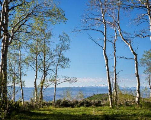 view from rainbow lake