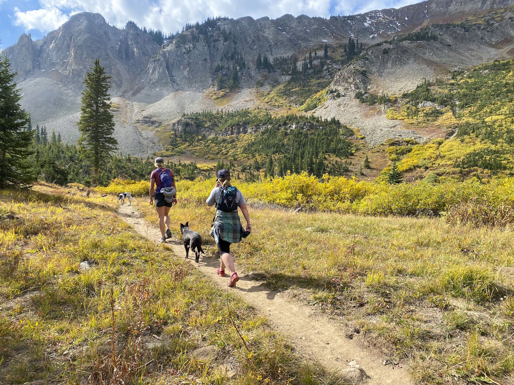 Two people and two dogs hike on a trail in the fall 