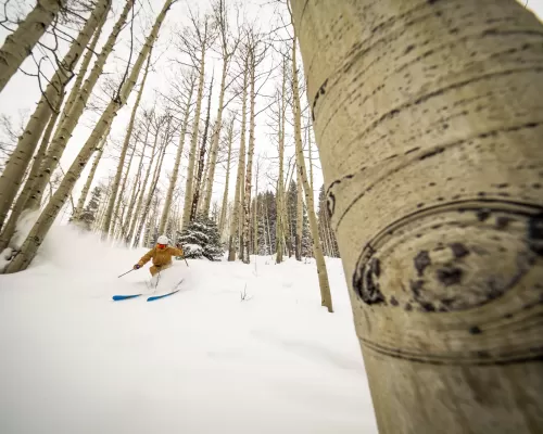 Skiing in aspen trees at Crested Butte