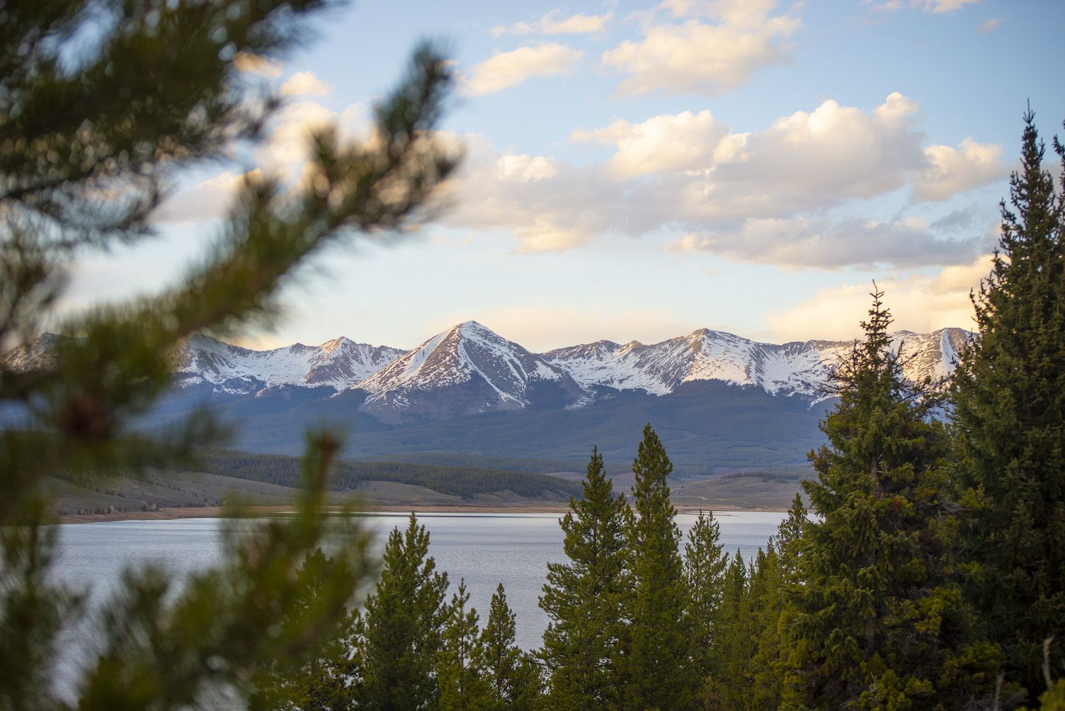 A mountain range capped in snow with trees in the foreground. A Taylor Park Reservoir spring sunset