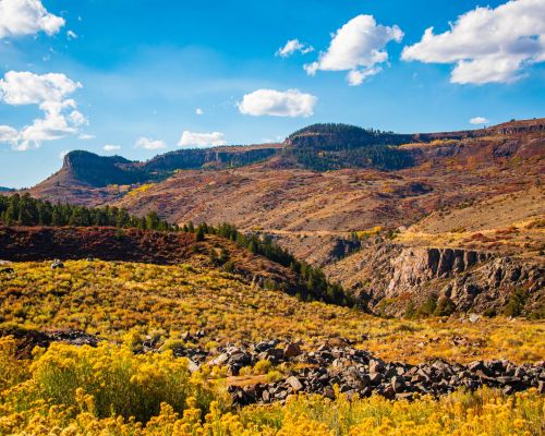 The rim of a canyon in the fall. Black Canyon of the Gunnison is one of Colorado's least visited National Parks.
