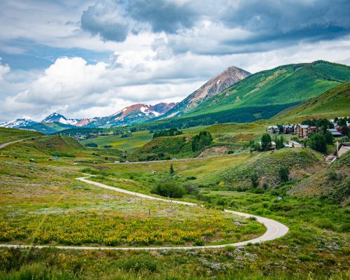 The crested butte rec path, a paved biking and walking path. The path cuts through a meadow dotted with flowers. A mountain range is in the background.