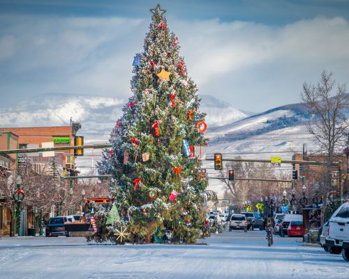 A large Christmas tree positioned in the middle of a downtown street