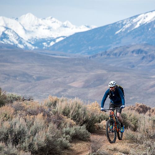 A man rides a bike on a trail through shrubs. Snow-capped mountain peaks are in the background.