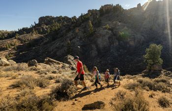 Four people hike on a sandy and shrubby trail.