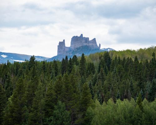 The Castles, Gunnison Colorado