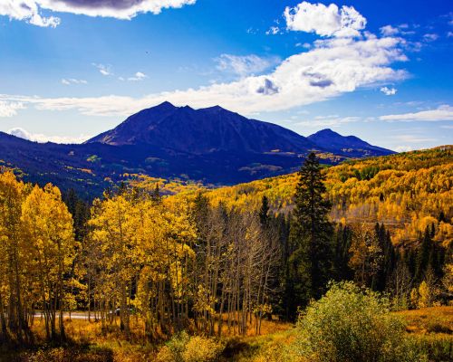 A mountain scene with trees with yellow leaves in the foreground with a peak in the background