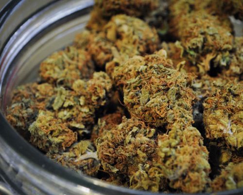 mountain manners, marijuana in crested butte and gunnison