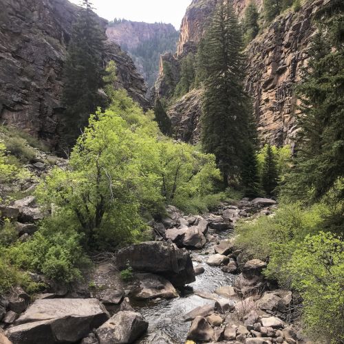 A canyon with a creek running through it. This is Curecanti Creek hike in Gunnison, Colorado