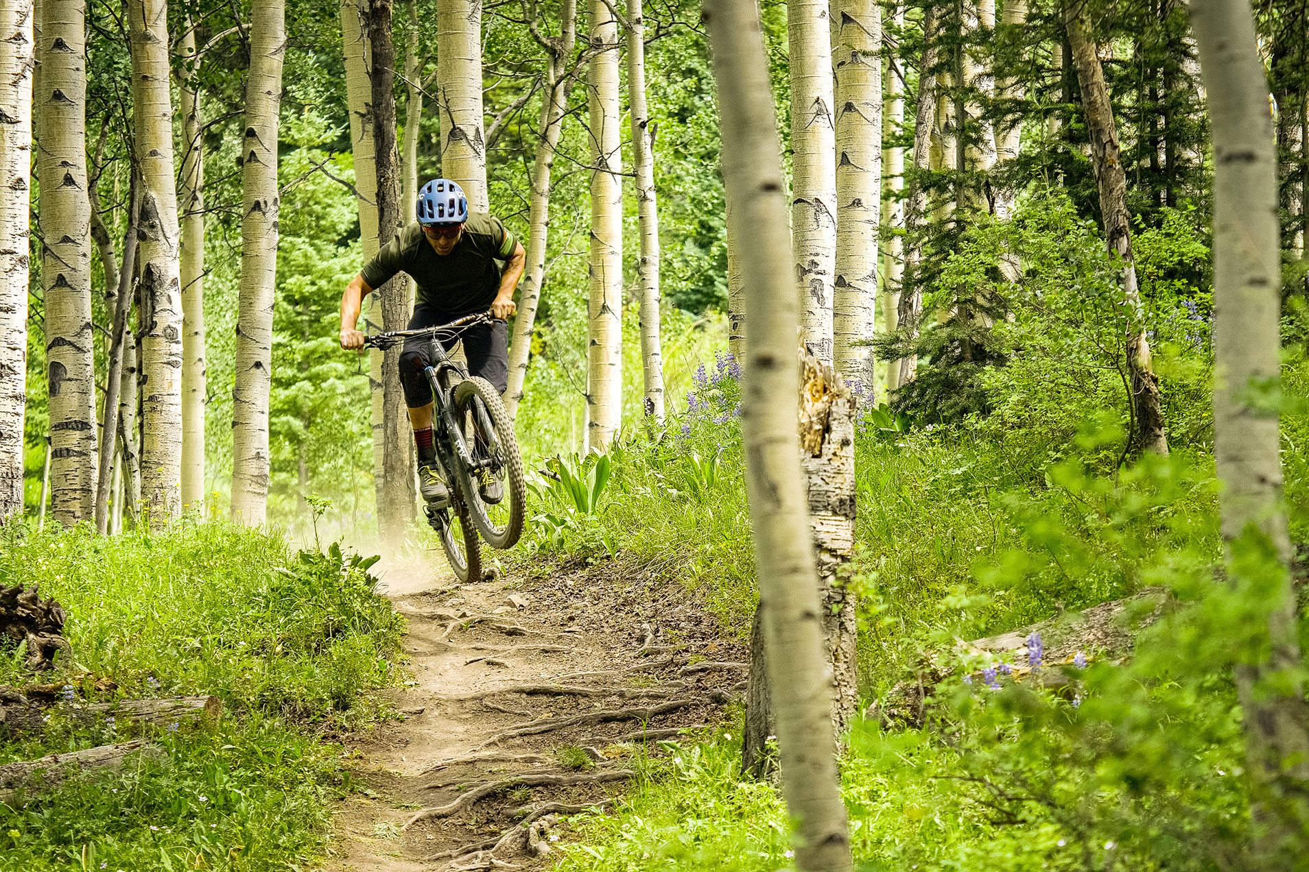 Trail 409.5 in Crested Butte, Colorado.