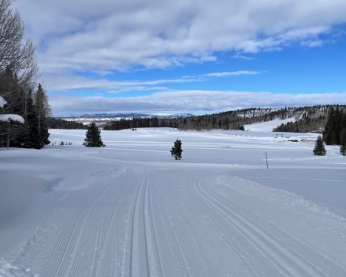 A cross-country ski track at Arrowhead Nordic. Parallel dips in the snow are the classic ski track. Corduroy snow is for skate skiing. Mountains and pine trees are in the distance under a cloudy sky.