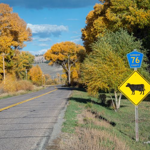 A sign that says "Silver Plume General Store" in front of a building with picnic tables that people are eating at outside in Pitkin, Colorado
