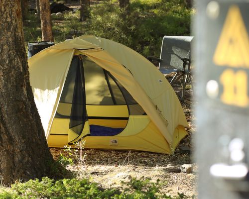 A tent set up at Campfire Ranch in Almont, CO. A tree sits to the left of the tent. An out of focus sign on the right of the tent features a triangle shape and the number 11.