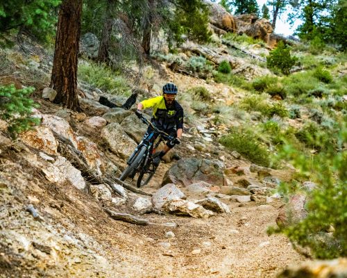 A mountain biker rides Doctor Park trail.