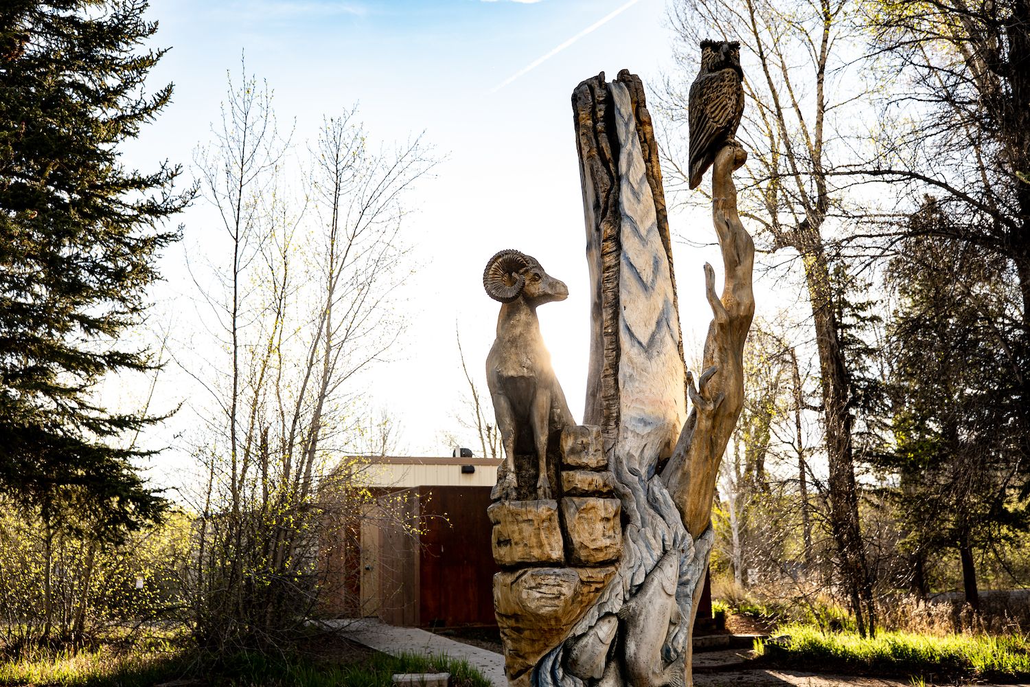 a wooden sculpture of a ram and owl at the Gunnison Whitewater Park