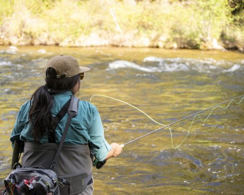 A woman fly fishing on the Taylor River