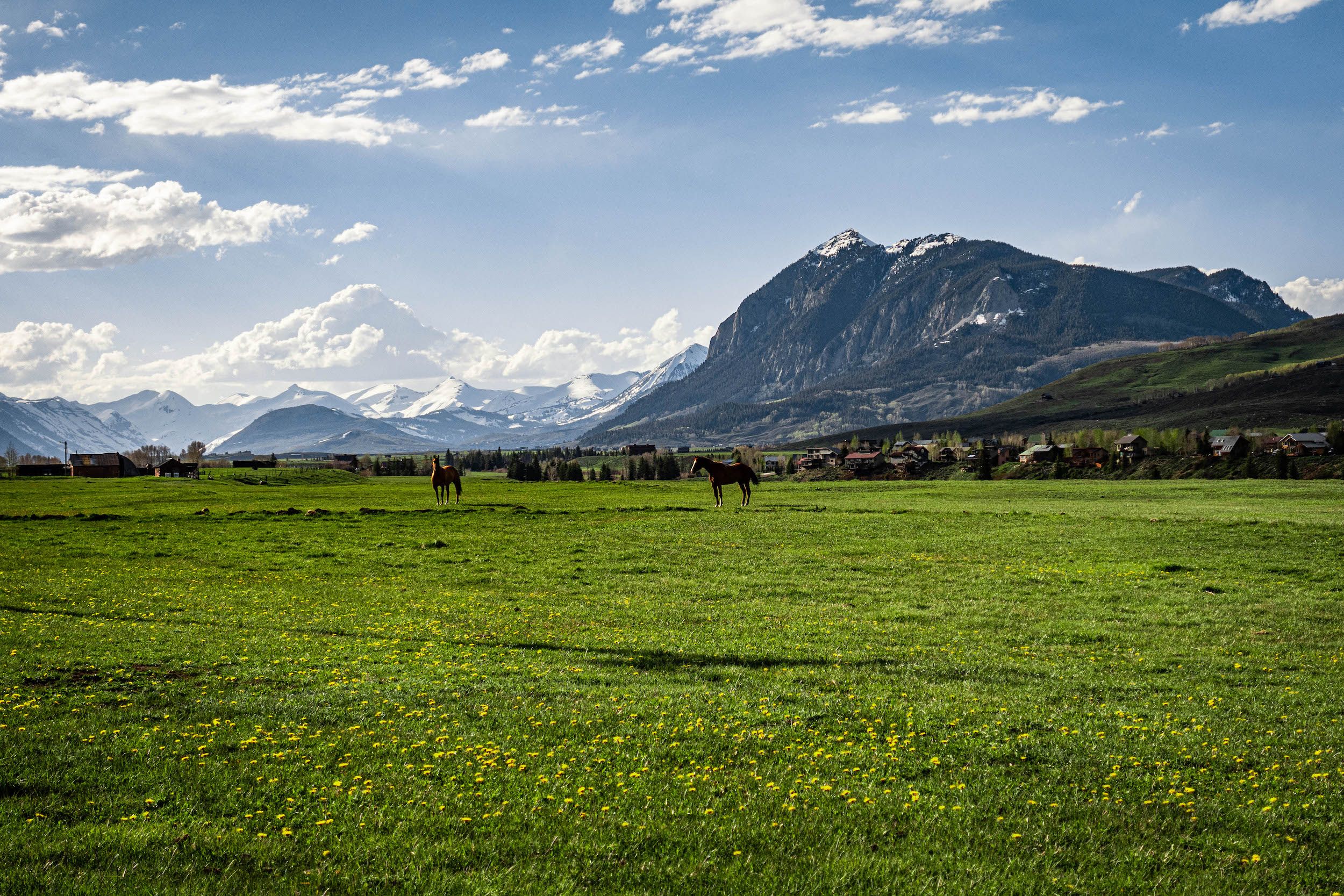 A mountain peak with a green field in the foreground