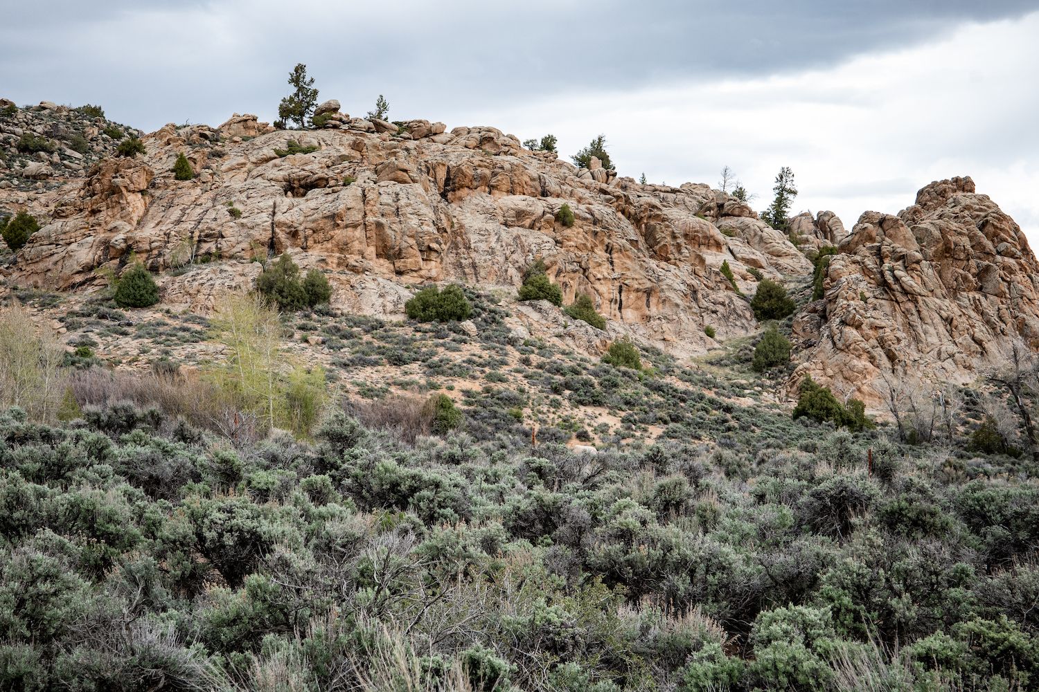 A rocky ridge 