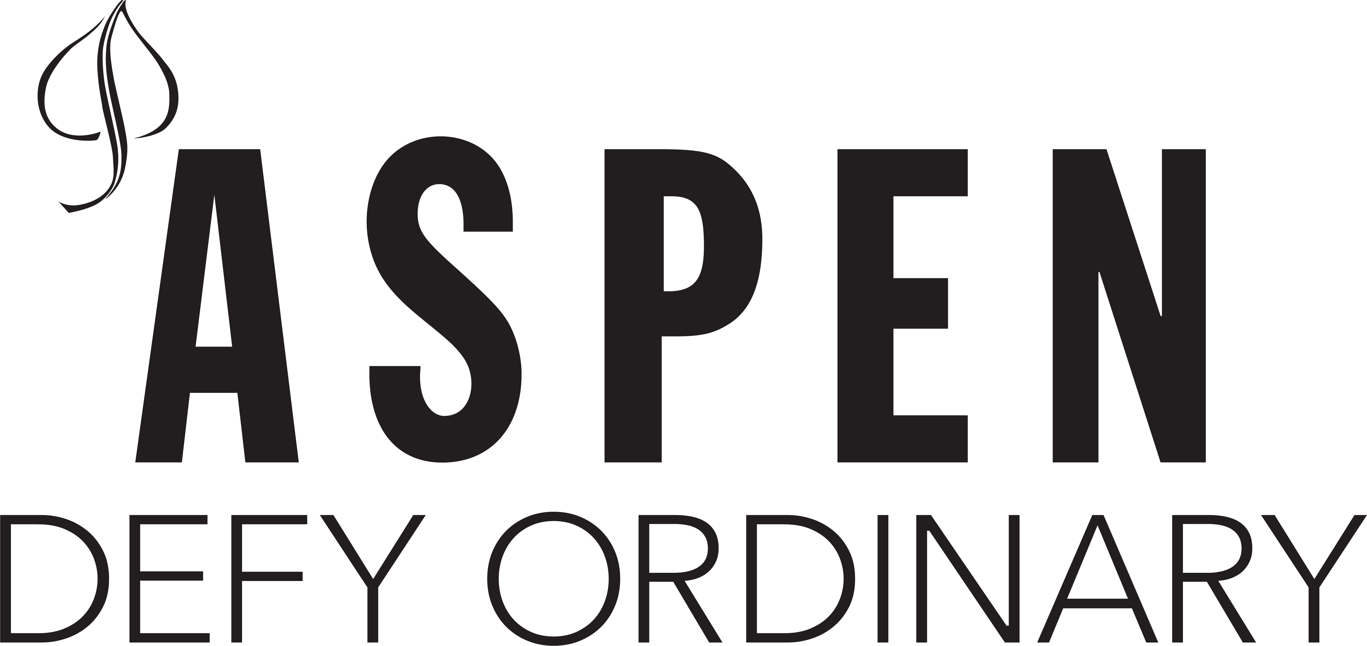 Aspen Chamber Resort Assn