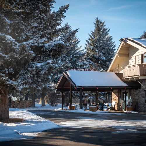 A lodge dusted in snow with a big tree in front of it. Gunnison lodging
