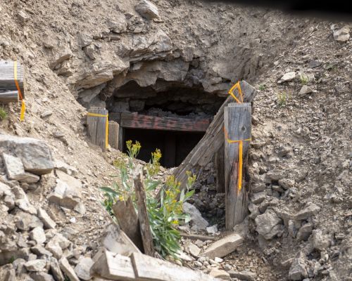 An abandoned mine shaft in Tincup, Colorado. The shaft is a dark hole in a hillside with a piece of wood blocking the entrance that says "keep out." Rocks and plants surround the hole.