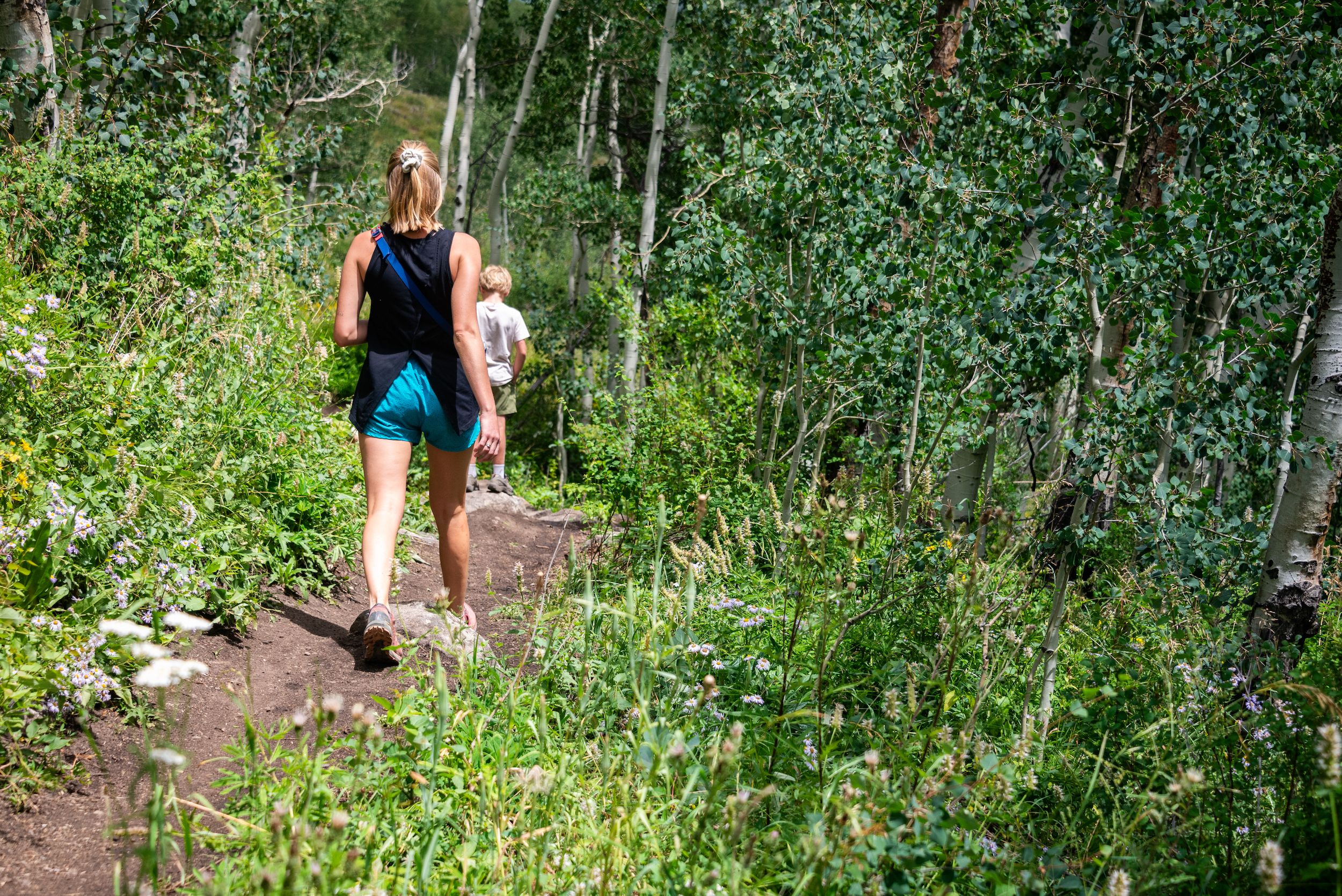 crested butte hiking