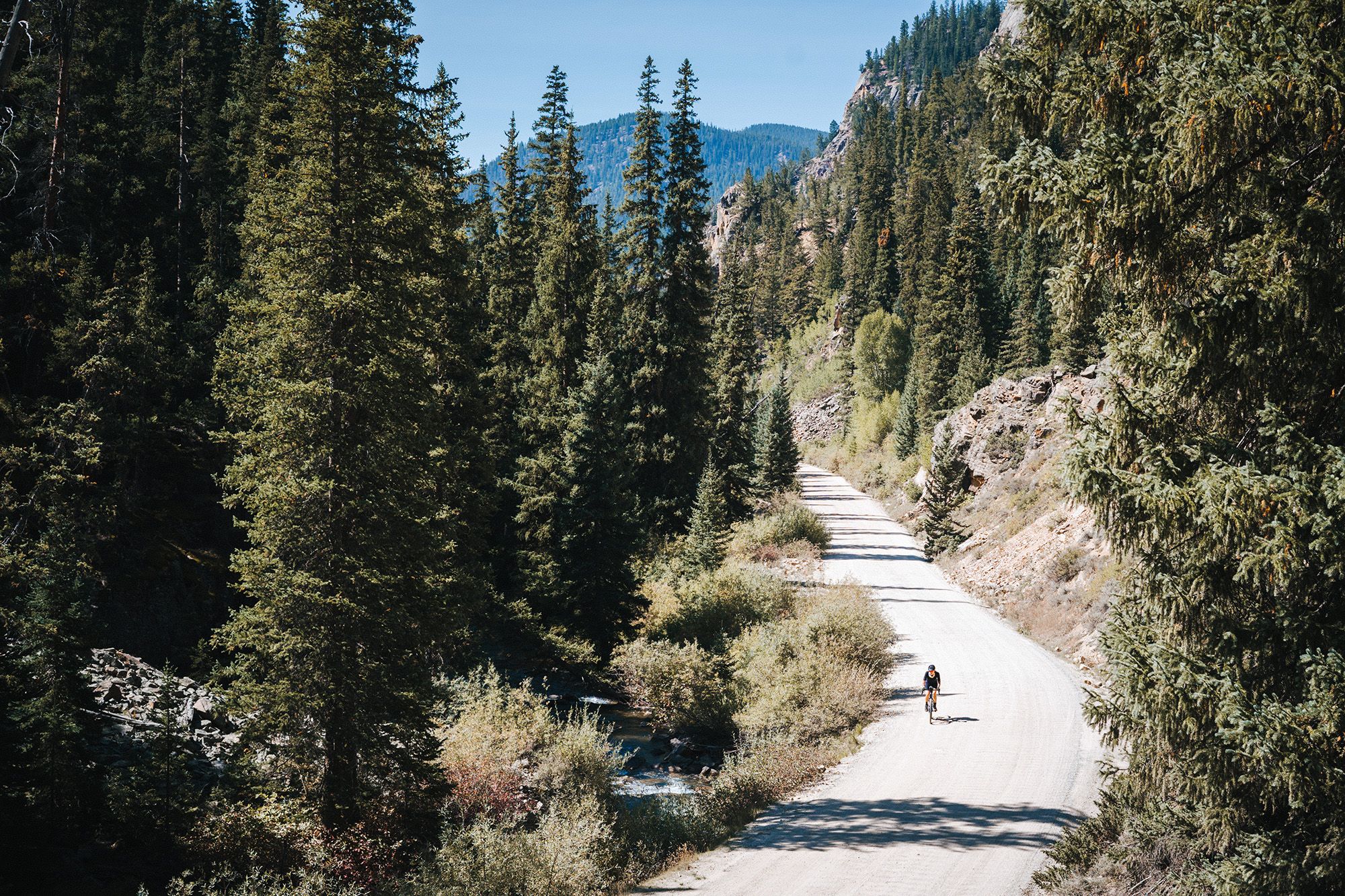 Gravel biking through conifer trees in a canyon in the Rocky Mountains