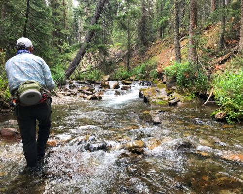 sneaking up on some small stream fish