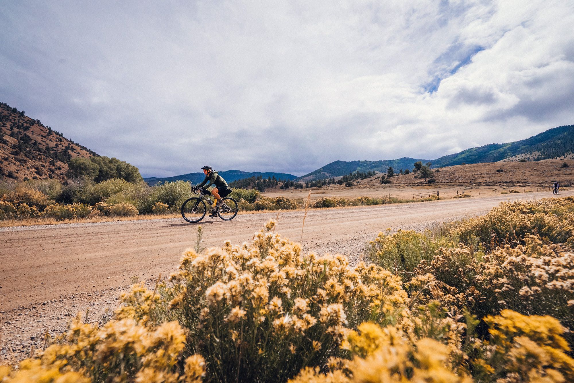 Gravel biking through a field of rabbitbrush in Colorado in summer