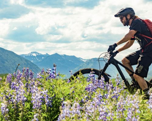 A man dressed in black with a red backpack mountain bikes through a field of lupine wildflowers with large mountains in the background. It is summer.