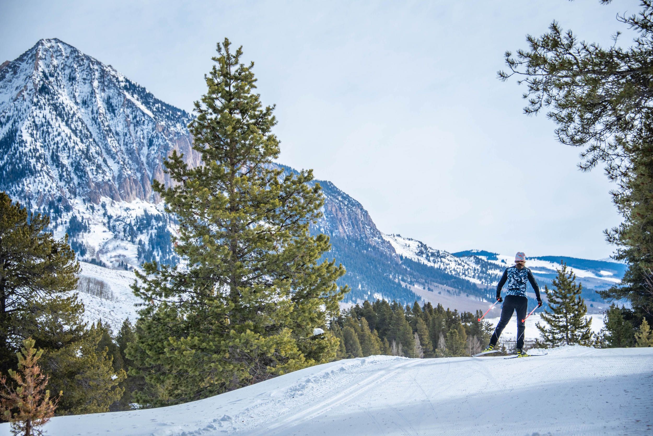 A nordic skier on a trail lined with pine trees and a mountain peak in the background