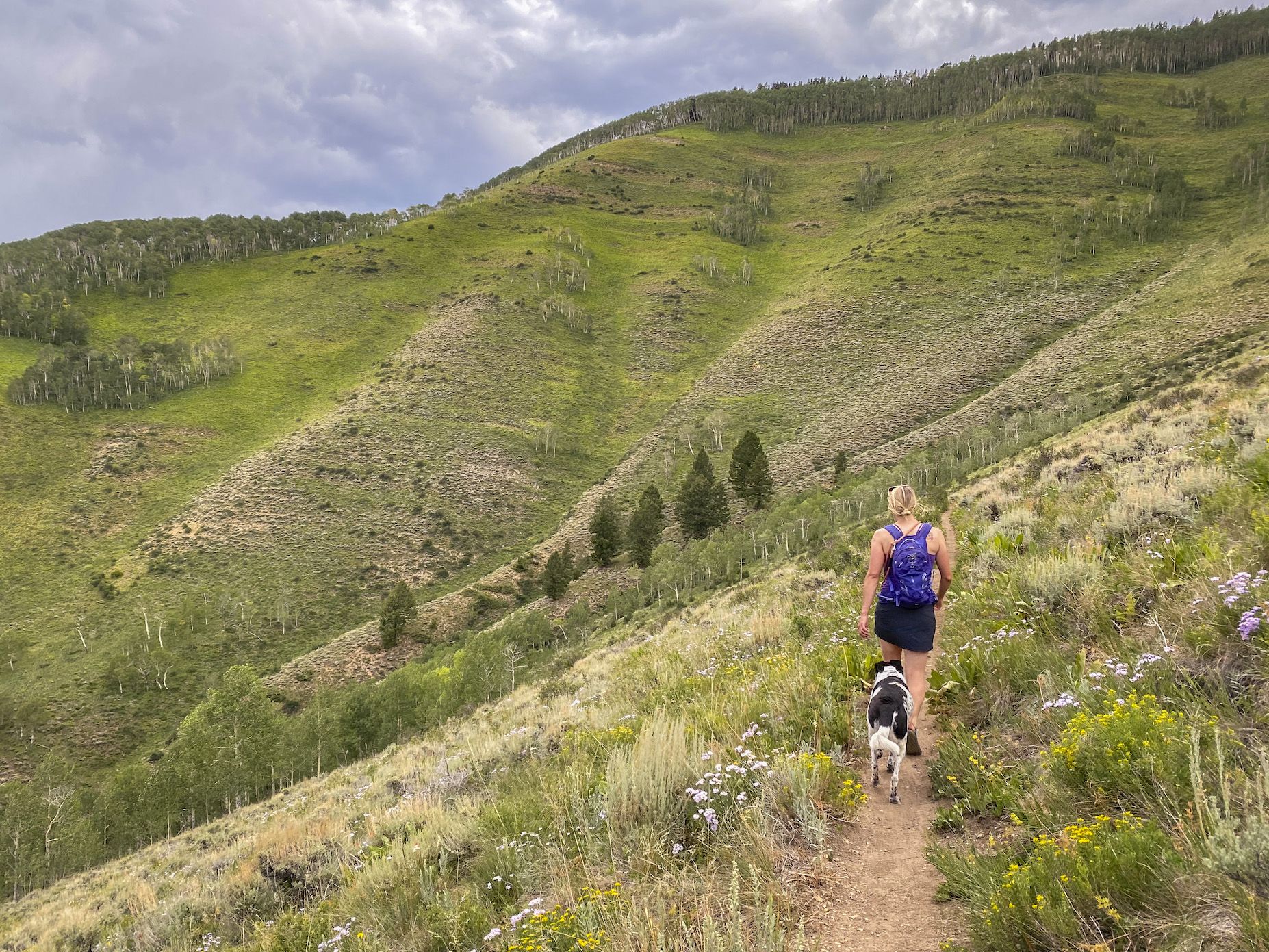 a hiker and a dog on a high alpine trail