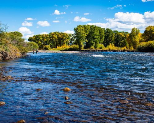 fishing-blue-mesa-gunnison-river