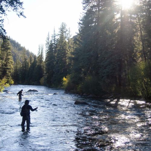 Two people standing in a river fly fishing. They are fly fishing Taylor River Almont, Colorado