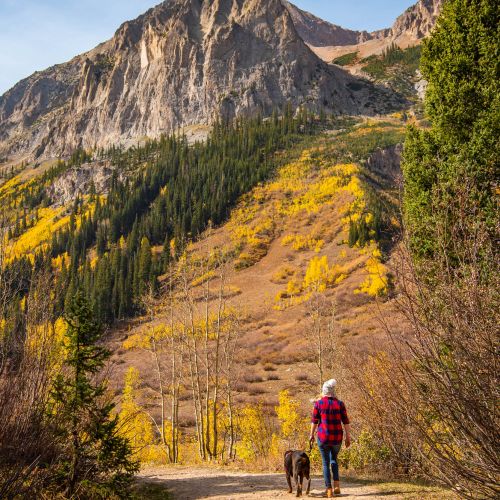 A woman and a dog hiking judd falls in gunnison national forest