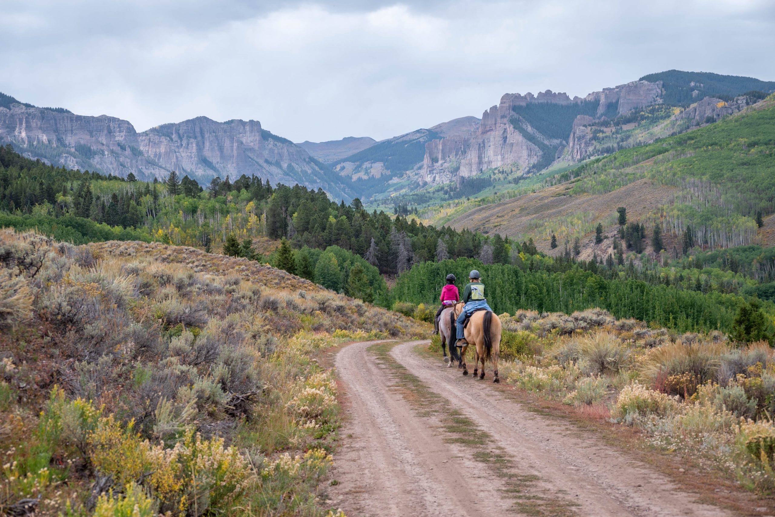 two people trail riding horses at mill creek gunnison colorado