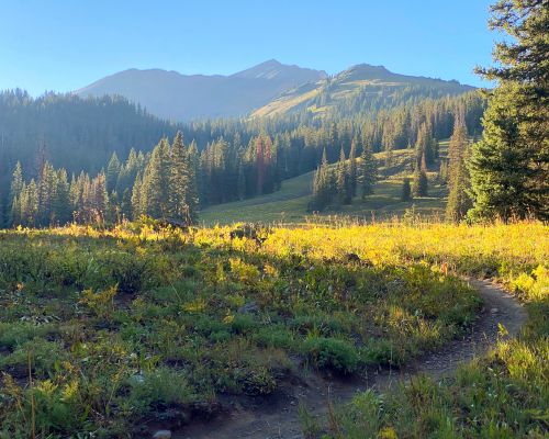 403-trail-crested-butte-summer